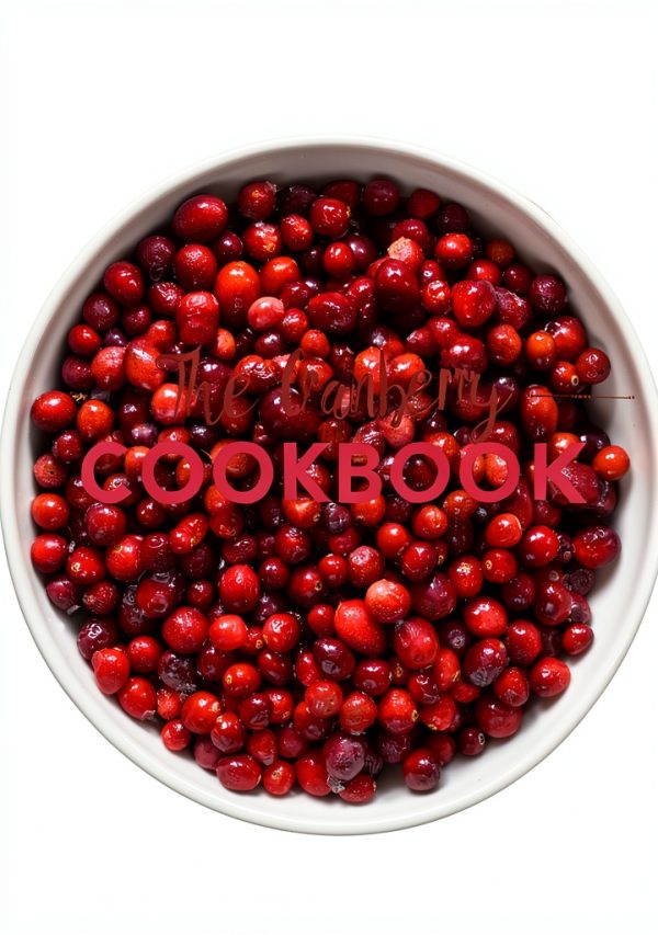 New England Cooking Cookbook Globe Pequot Illustrated 163‑Page Edition-0