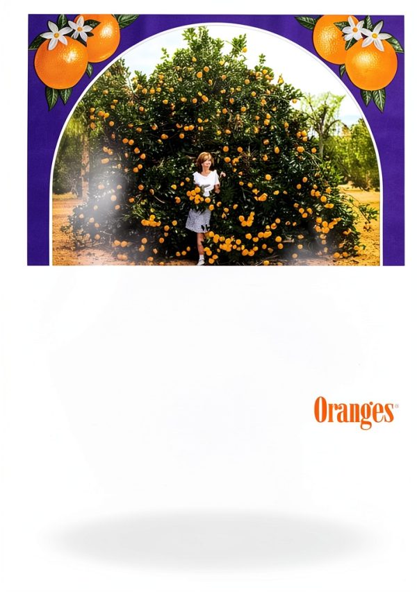 Fruit Cooking Cookbook Farrar Straus Giroux Kindle 170‑Page-0
